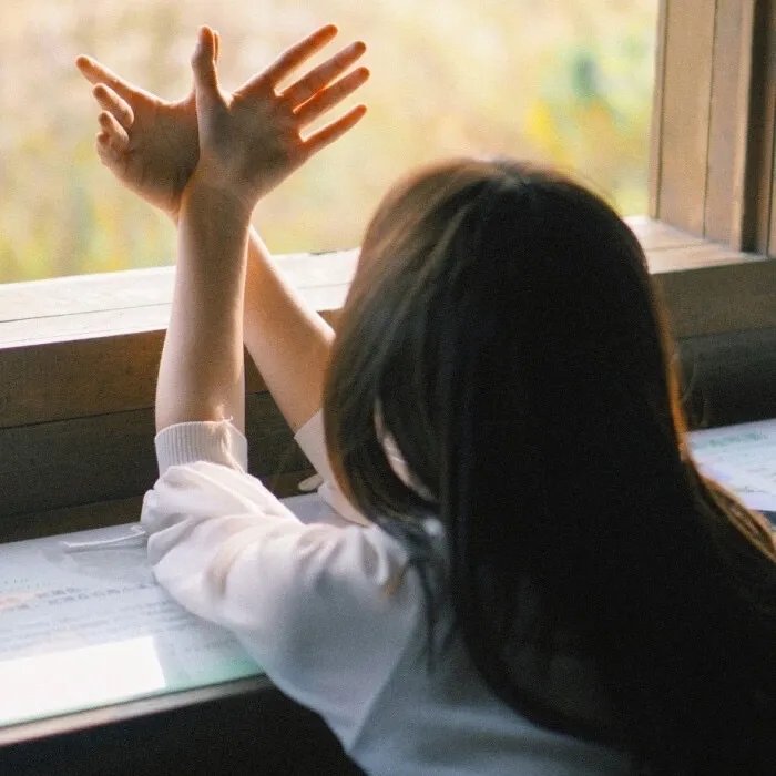 猫和老鼠：雪人国大冒险